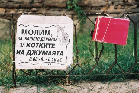 Дарение