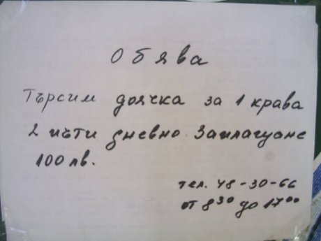 Обява