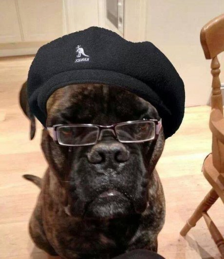 SAMUEL L. BARKSON