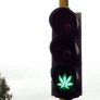 Светофара е зелен