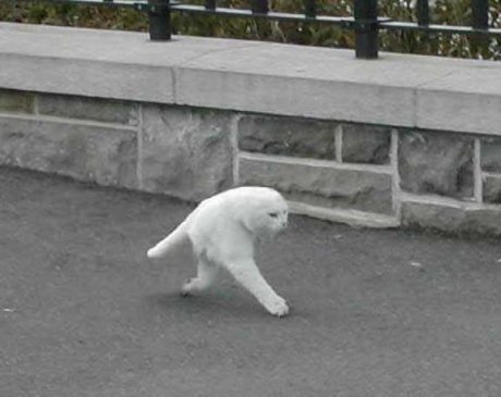 Какво ?!?!