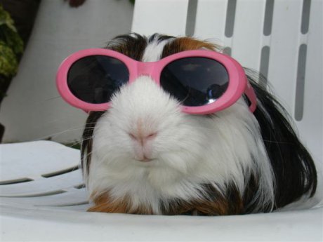 Fancy