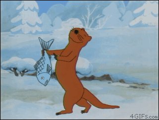 Аз имам риба
