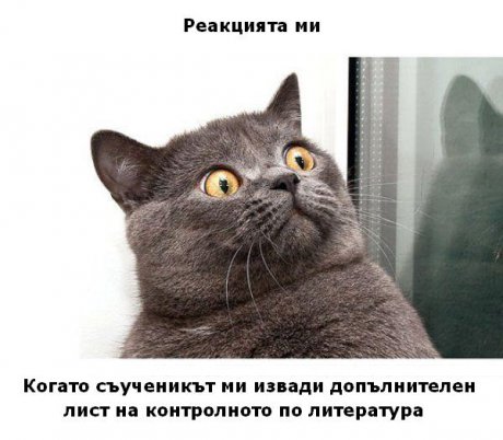 Допълнителен лист ли...