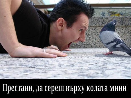 Гаден гълъб