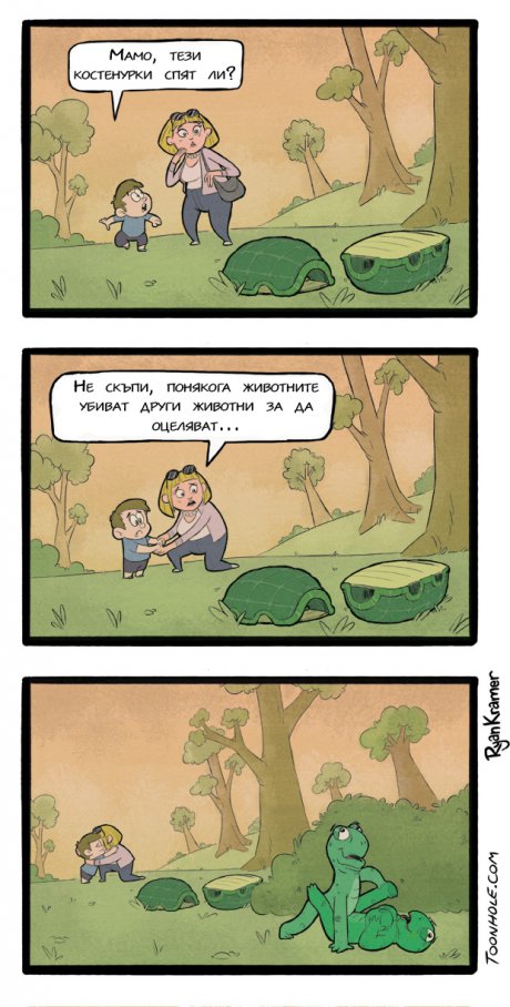 Не спят, не спят...