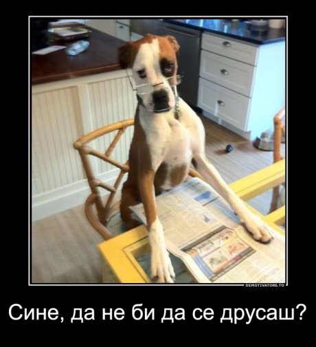 Май прекалих с гъбите