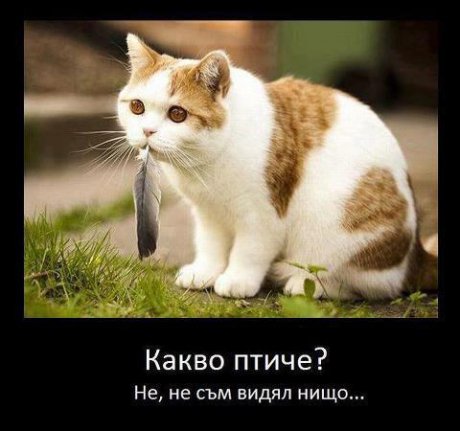 Объркал си се