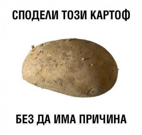 Харесай без причина :д