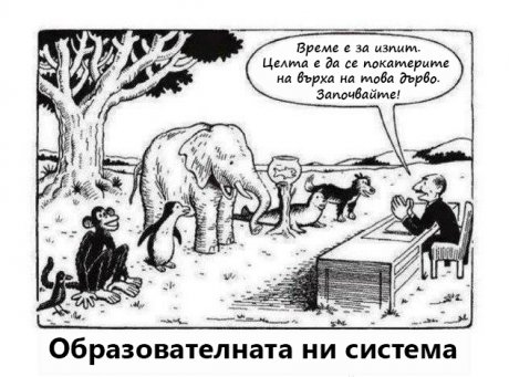 В Училището