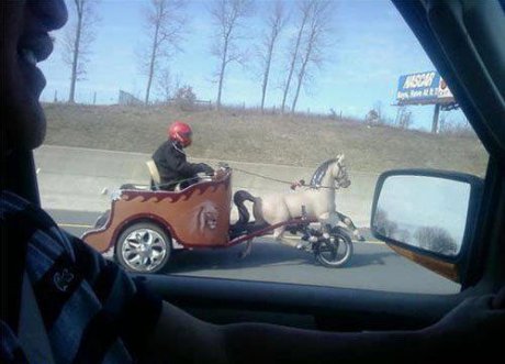 На път за вкъщи