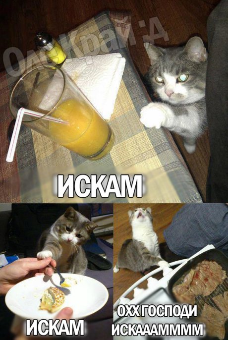Искам
