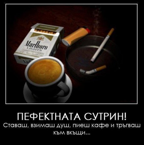 Перфектната сутрин