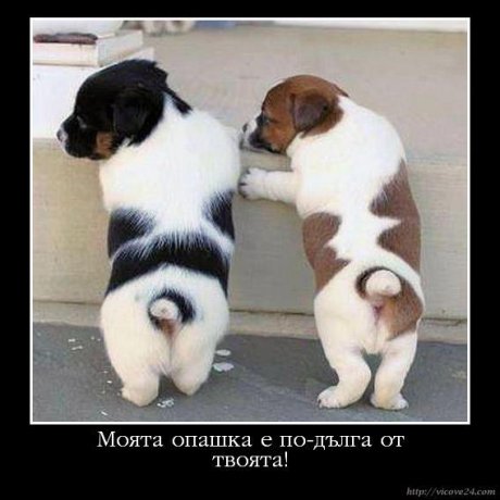 Не е вярно