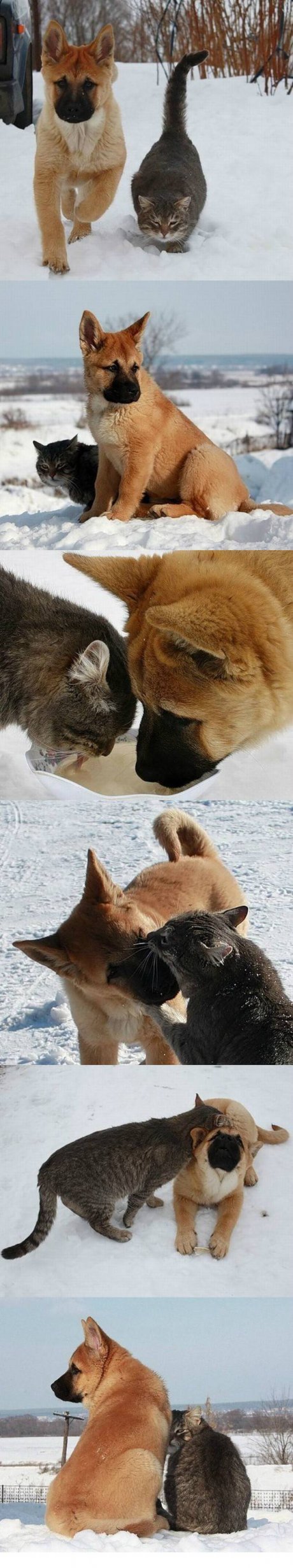 Да ти разкажа за моя приятел
