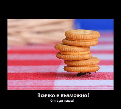 Всичко е възможно
