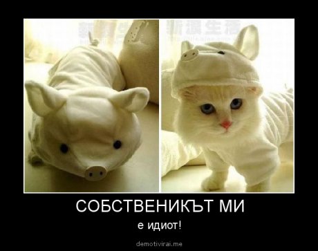 Търси се собственика!