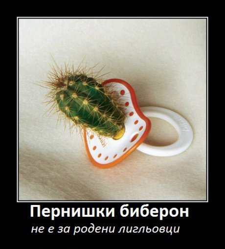 Пернишки биберон