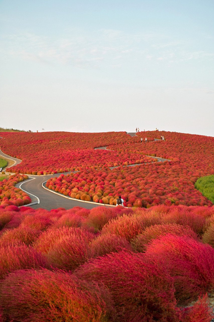Есен в Япония