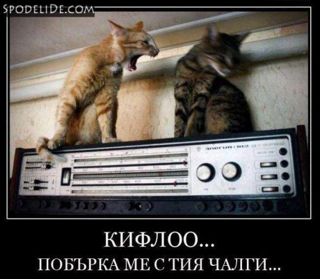 ;ДД