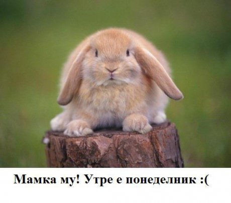 Утре е понеделник