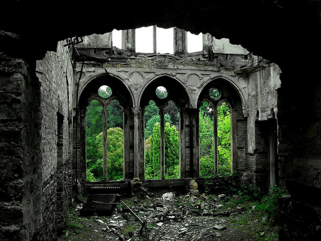 Руини в гората