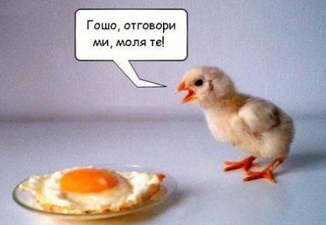 Отговори де!
