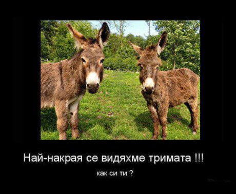 Събрахме се