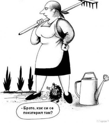 Ко направи бе брат