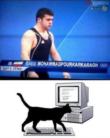 dklflksdhshdlk :DD