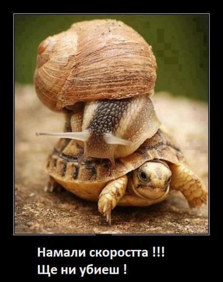 Ще ни утрепаш бе!
