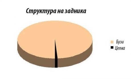 Структура на задника
