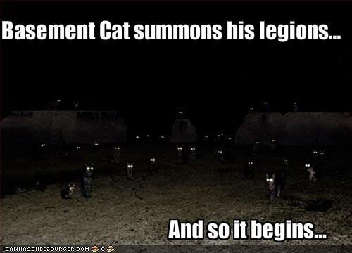 Котешкия апокалипсис идва
