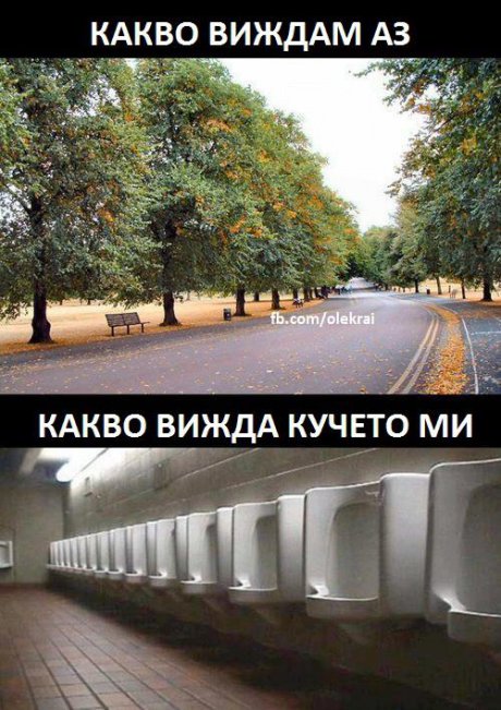 На разходка