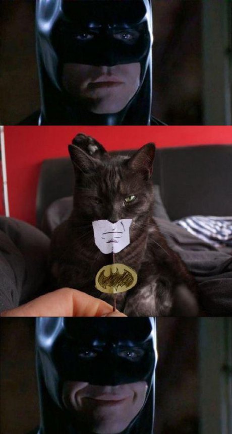 Котката на Батман
