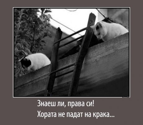 Я верно бе