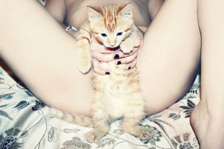 Ще погалиш ли котенцето ми?