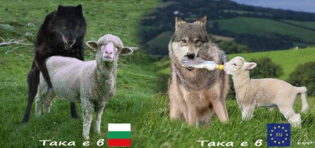 По света и у нас