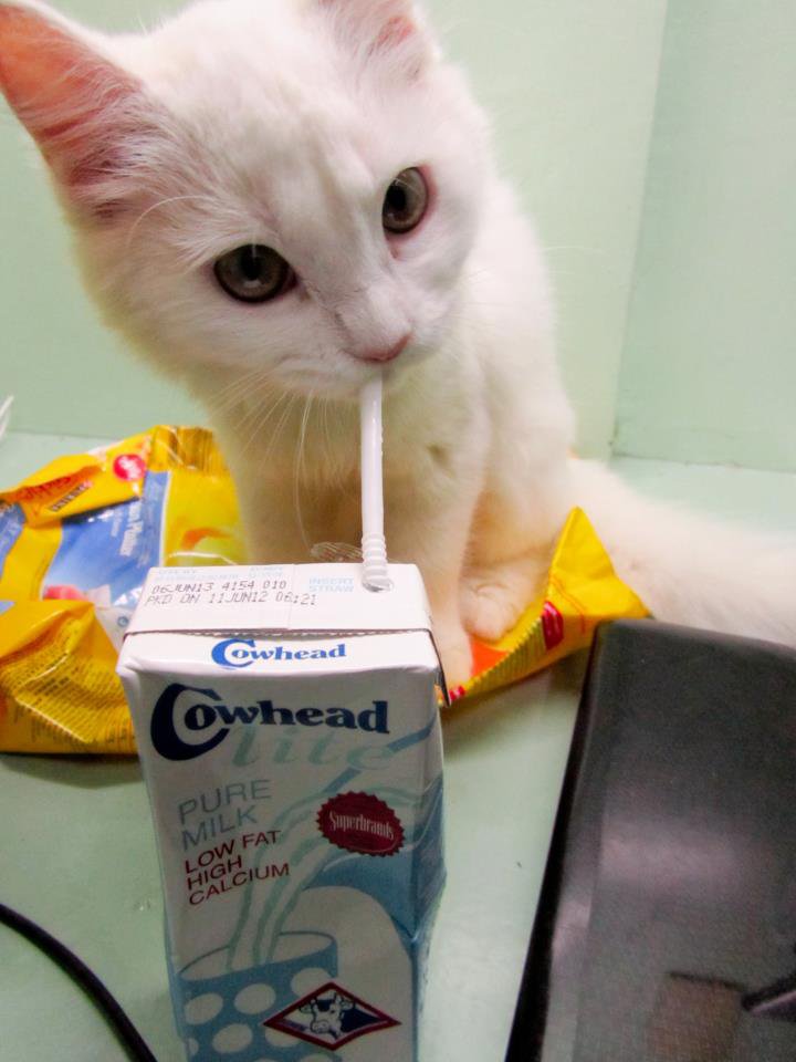 Ето кой ми пие от млякото