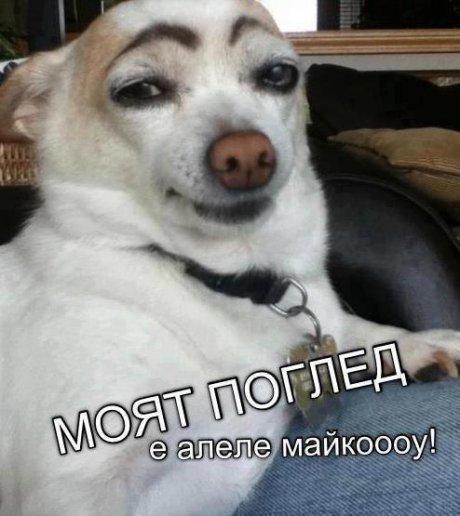 Ко праиш лек