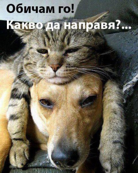 Любов кво да праиш