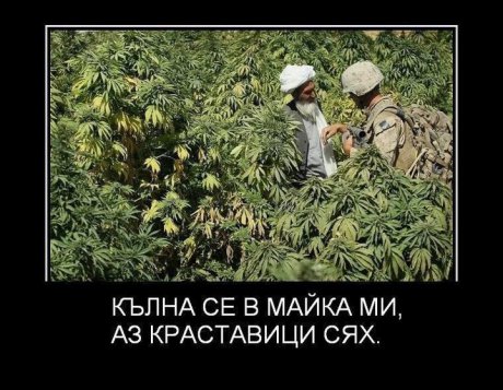 Каквото посееш...