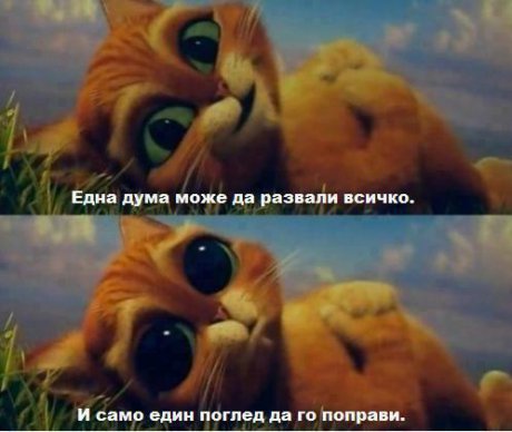Този поглед