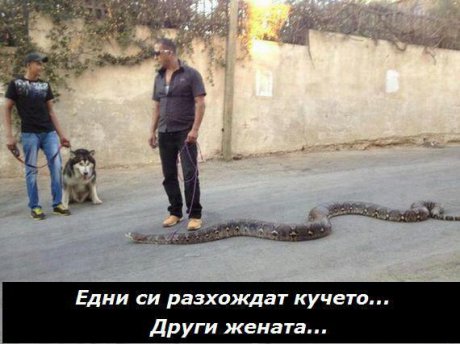 На разходка