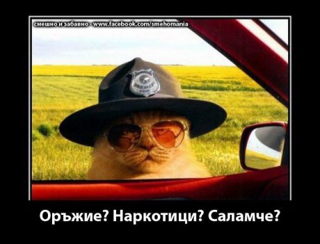 Саламче това онова