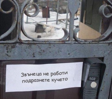 Да разлаем кучетата