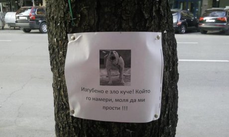 Извинявам се предварително