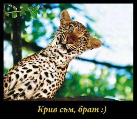 Смазах се