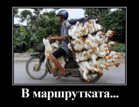 Стани да седнем и мръдни да минем