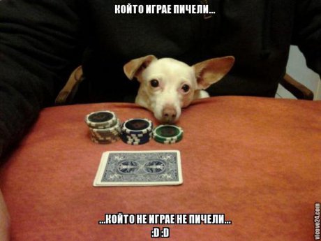 Камата си го е казал